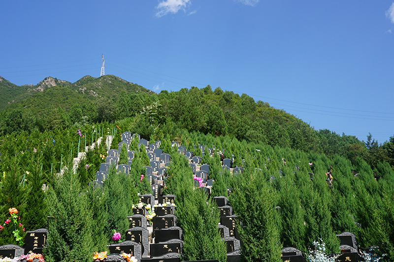 遗体迟迟不能火化的常见原因（遗体能保存多久）